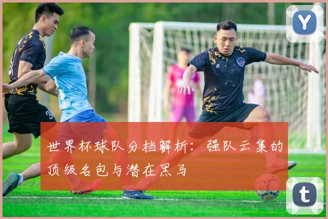 世界杯球队分档解析：强队云集的顶级名包与潜在黑马