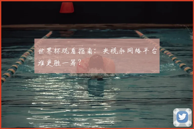 世界杯观看指南：央视和网络平台谁更胜一筹？