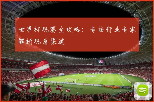 世界杯观赛全攻略：专访行业专家解析观看渠道