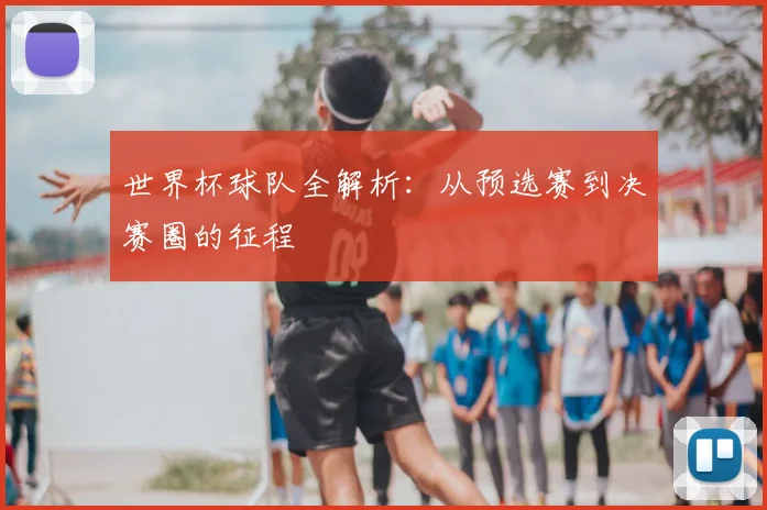 世界杯球队全解析：从预选赛到决赛圈的征程