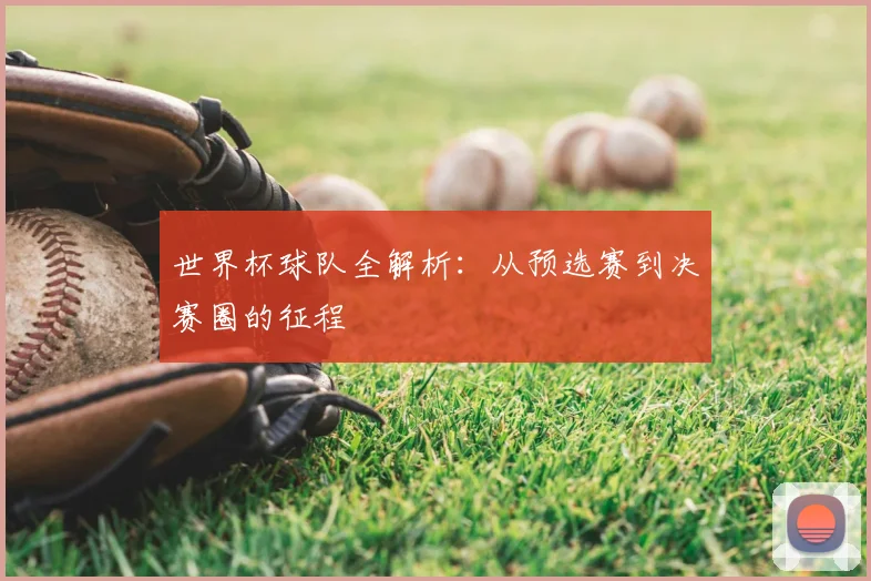 世界杯球队全解析：从预选赛到决赛圈的征程