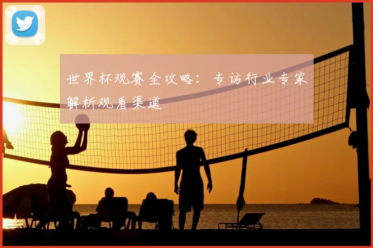 世界杯观赛全攻略：专访行业专家解析观看渠道
