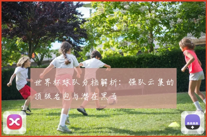 世界杯球队分档解析：强队云集的顶级名包与潜在黑马