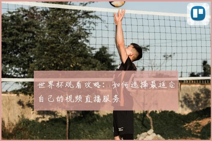 世界杯观看攻略：如何选择最适合自己的视频直播服务
